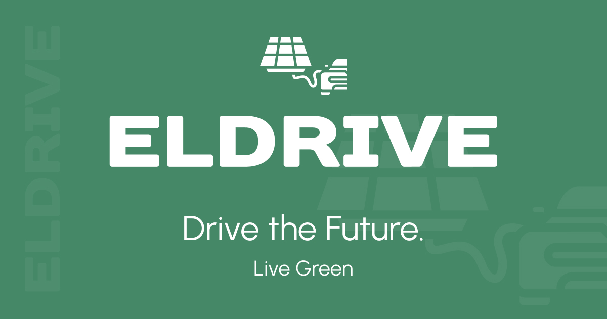 ELDRIVE / შაკო მოტორსის პირველი საერთაშორისო პარტნიორი